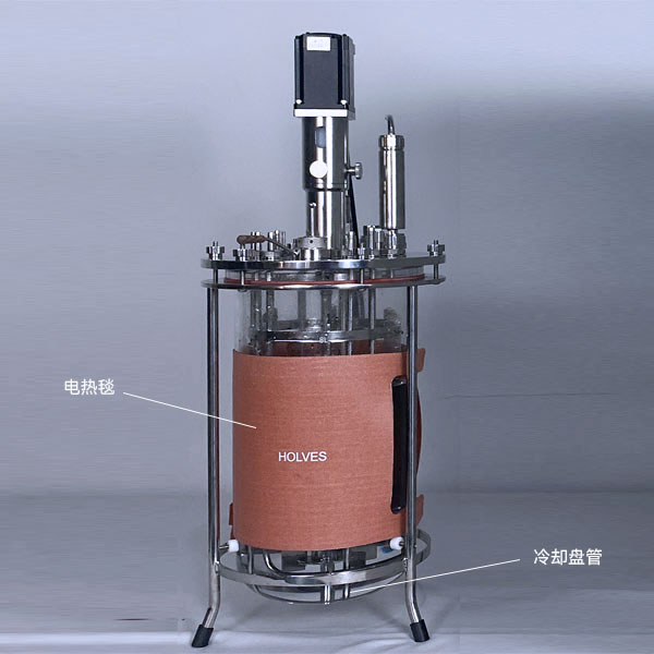 jinnianhui官网（HOLVES）实验发酵罐
