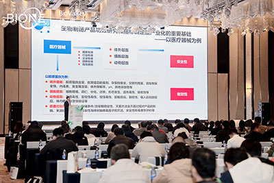 峰会会议现场图2